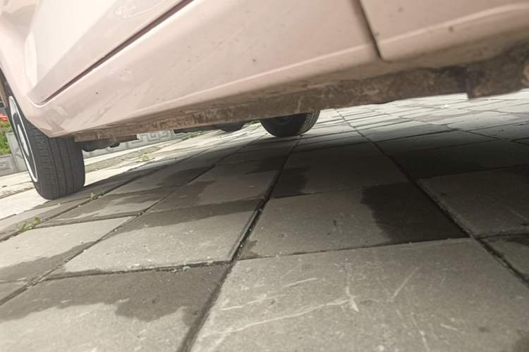 Used Wuling Hongguang MINIEV 2021 Macaron Premium Model – Lithium-NMC Right Side Sill
