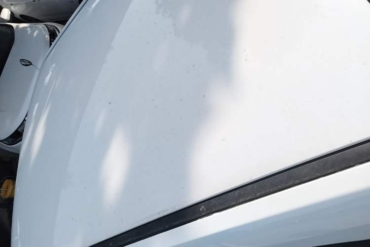 Used Wuling Hongguang MINIEV 2021 Macaron Fashion Model Lithium Iron Phosphate Roof
