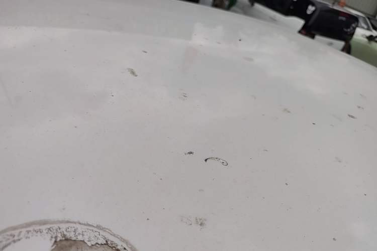 Used Wuling Hongguang MINIEV 2021 Macaron Fashion Model Lithium Iron Phosphate Roof