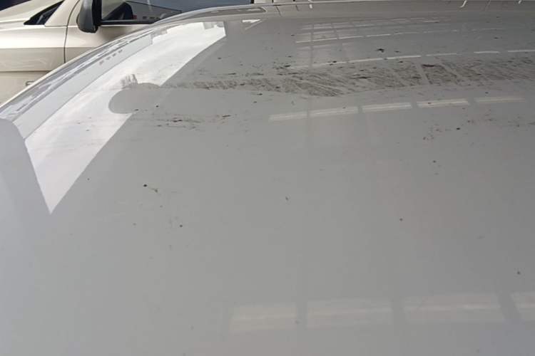Used Wuling Hongguang MINIEV 2021 Macaron Fashion Model Lithium Iron Phosphate Roof