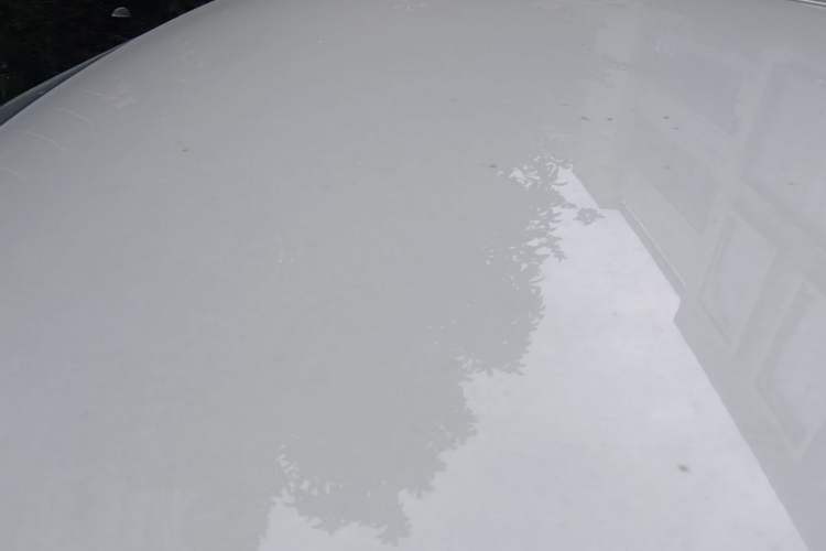 Used Wuling Hongguang MINIEV 2021 Macaron Sandwich Model 120 km Lithium Iron Phosphate Roof