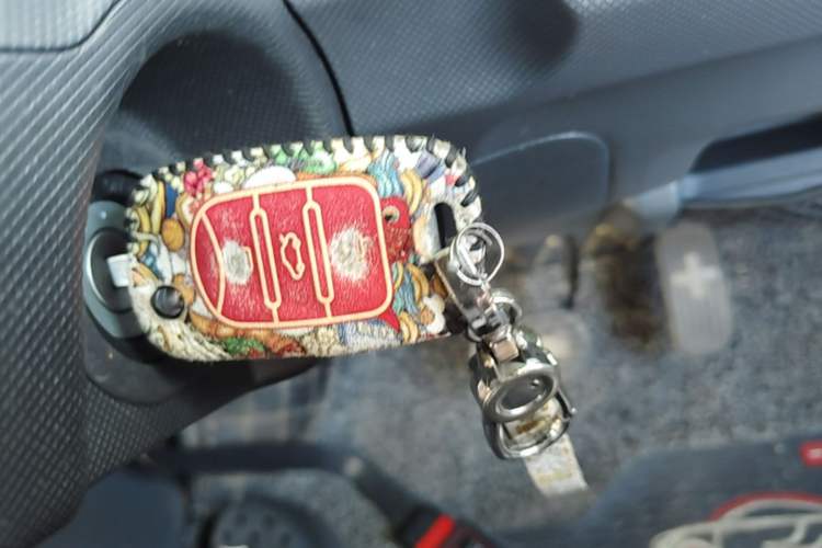 Used Wuling Hongguang MINIEV 2021 Macaron Fashion Model Lithium Iron Phosphate Vehicle Key