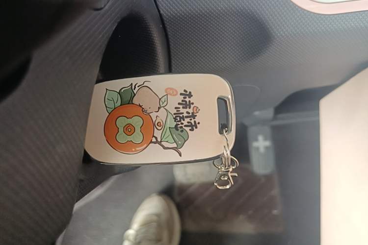 Used Wuling Hongguang MINIEV 2021 Macaron Sandwich Model 170 km Lithium Iron Phosphate Vehicle Key