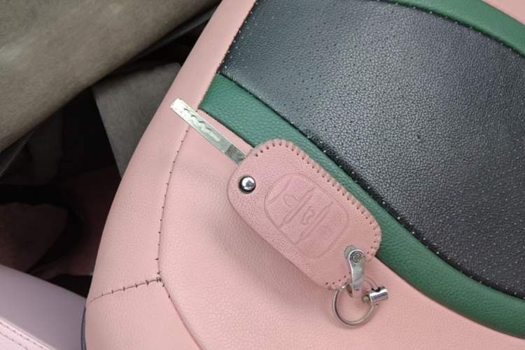 Used Wuling Hongguang MINIEV 2021 Macaron Fashion Model Lithium Iron Phosphate Vehicle Key