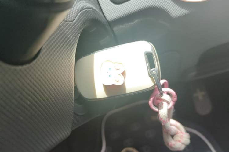 Used Wuling Hongguang MINIEV 2021 Macaron Fashion Model Lithium Iron Phosphate Vehicle Key