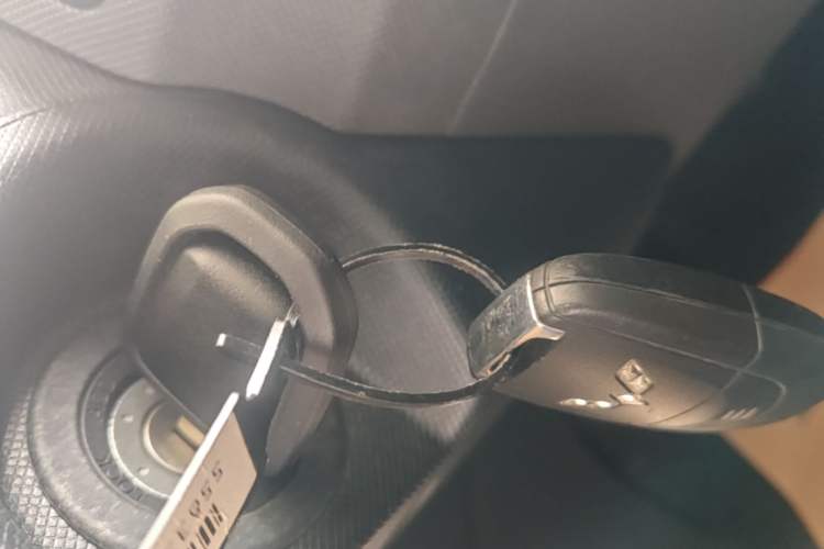 Used Wuling Hongguang MINIEV 2021 Macaron Fashion Edition Lithium-Ion Battery Vehicle Key