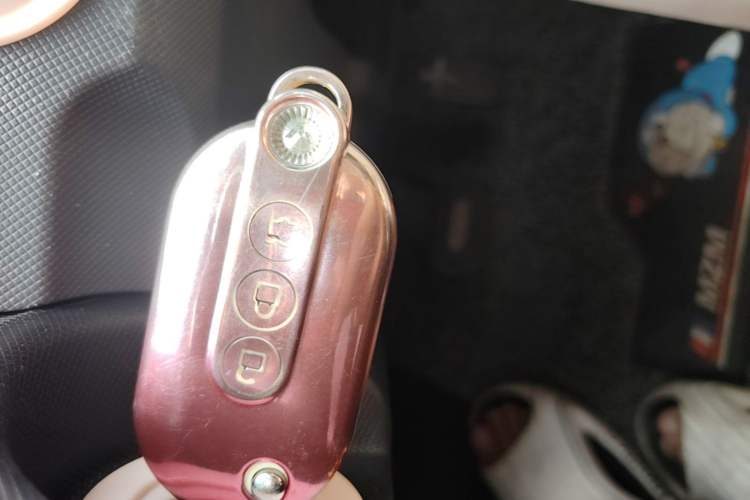 Used Wuling Hongguang MINIEV 2021 Macaron Sandwich Model 170 km Lithium Iron Phosphate Vehicle Key