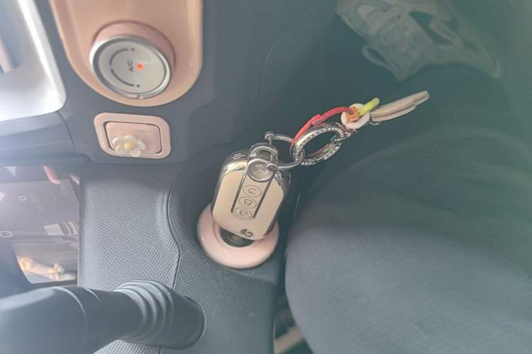 Used Wuling Hongguang MINIEV 2021 Macaron Fashion Edition Lithium-Ion Battery Vehicle Key