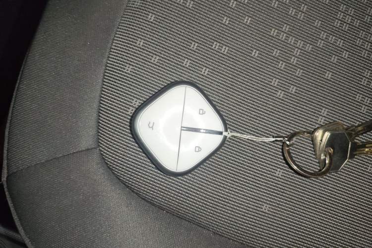 Used Wuling Hongguang MINIEV 2021 Macaron Fashion Edition Lithium-Ion Battery Vehicle Key
