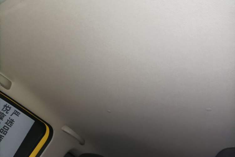 Used Wuling Hongguang MINIEV 2021 Macaron Fashion Model Lithium Iron Phosphate Headliner