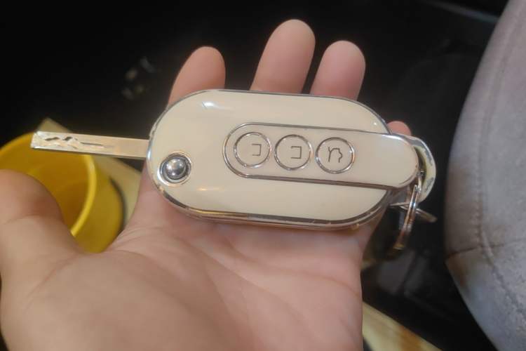Used Wuling Hongguang MINIEV 2021 Macaron Premium Model – Lithium Iron Phosphate Vehicle Key