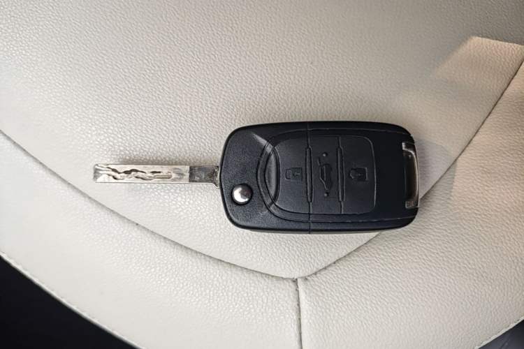 Used Wuling Hongguang MINIEV 2021 Macaron Fashion Model Lithium Iron Phosphate Vehicle Key
