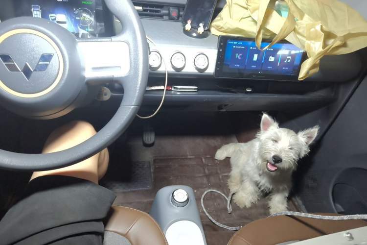 Used Wuling Hongguang MINIEV 2022 GAMEBOY 200km Gaming Edition with Lithium Iron Phosphate Audio And AC Panel