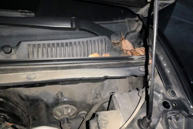 Used Wuling Hongguang MINIEV 2022 GAMEBOY 200km Gaming Edition with Lithium Iron Phosphate Engine Bay Left
