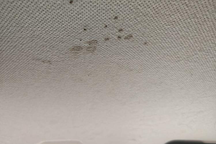 Used Wuling Hongguang MINIEV 2022 Macaron Fashion Model Lithium Iron Phosphate Headliner