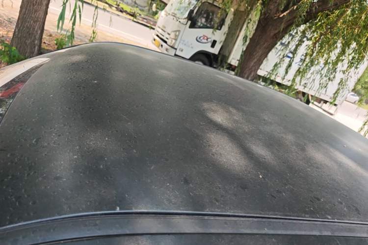 Used Wuling Hongguang MINIEV 2022 Enjoy Edition Lithium Iron Phosphate Roof