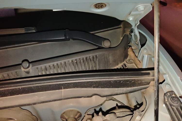 Used Wuling Hongguang MINIEV 2022 Enjoy Edition Lithium Iron Phosphate Engine Bay Left