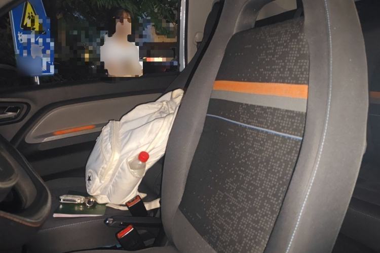 Used Wuling Hongguang MINIEV 2022 Zizai Version Lithium Iron Phosphate Left Front Seat