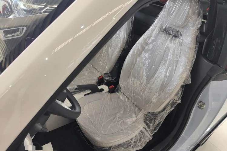 Used Wuling Hongguang MINIEV 2022 Convertible Model Left Front Seat