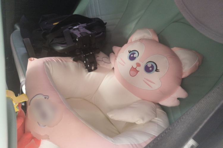 Used Wuling Hongguang MINIEV 2022 Enjoy Edition Lithium-Ion Battery Left Rear Seat