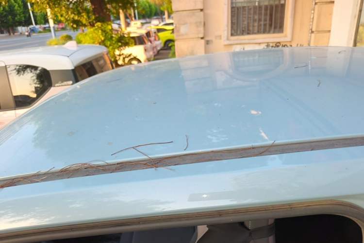 Used Wuling Hongguang MINIEV 2022 Enjoy Edition Lithium-Ion Battery Roof
