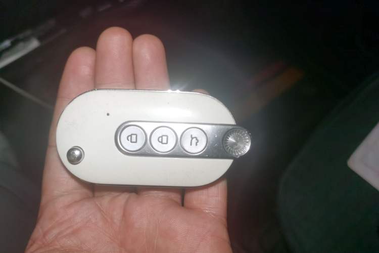 Used Wuling Hongguang MINIEV 2022 Zizai Version Lithium-NMC Vehicle Key