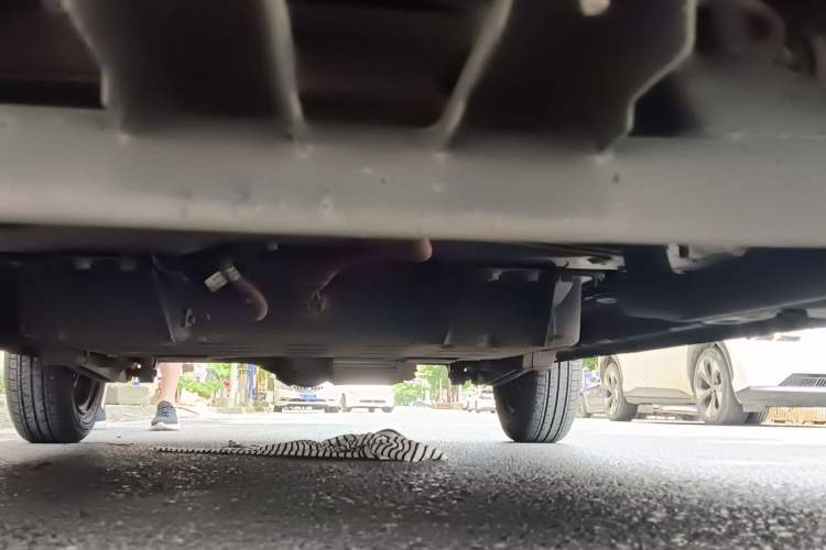 Used Wuling Hongguang MINIEV 2022 Macaron Fashion Model Lithium Iron Phosphate Chassis Front
