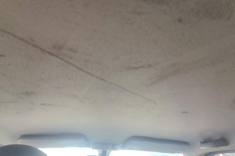 Used Wuling Hongguang MINIEV 2022 Macaron Fashion Edition Lithium-Nickel-Cobalt-Alpha-oxide Headliner