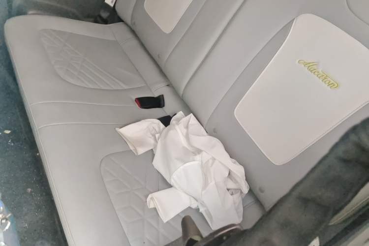 Used Wuling Hongguang MINIEV 2022 Macaron-Color Edition Lithium Iron Phosphate Left Rear Seat