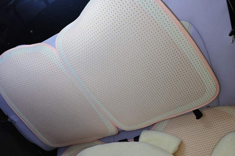 Used Wuling Hongguang MINIEV 2022 Macaron Colorful Edition Lithium-Ion Battery Left Rear Seat