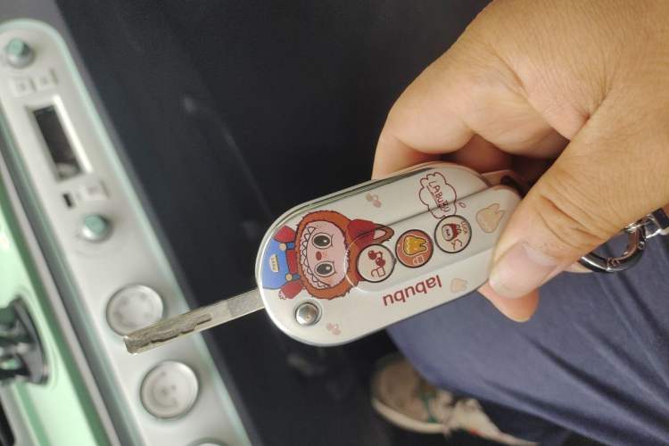Used Wuling Hongguang MINIEV 2022 Macaron Fashion Model Lithium Iron Phosphate Vehicle Key