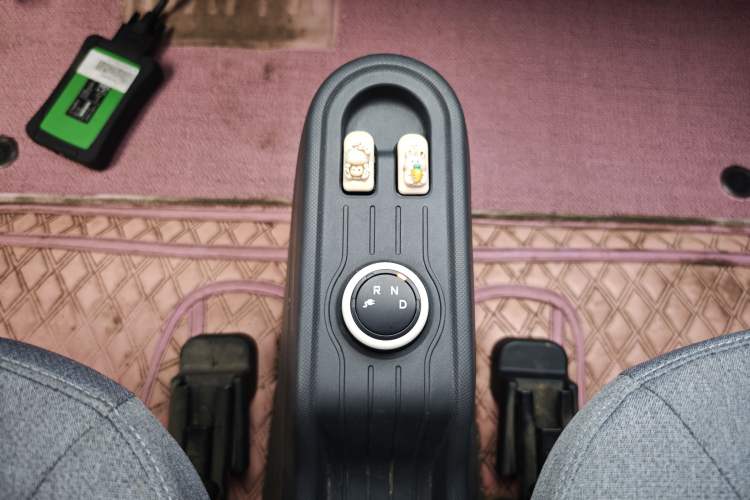 Used Wuling Hongguang MINIEV 2022 Macaron Fashion Edition Lithium-Nickel-Cobalt-Alpha-oxide Gear Lever
