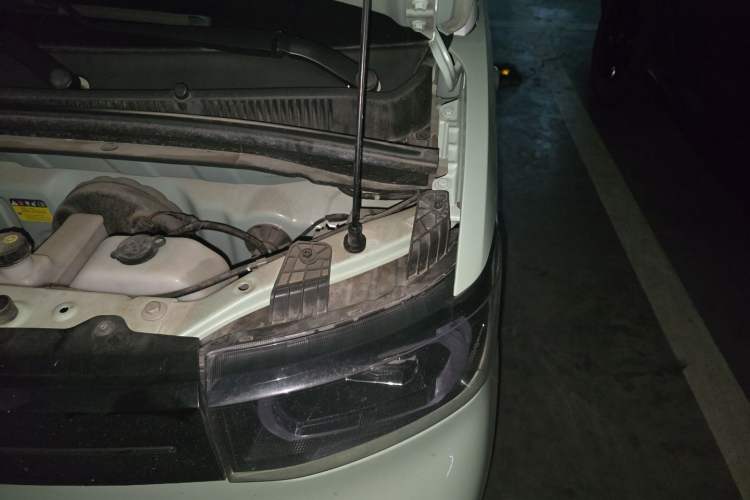 Used Wuling Hongguang MINIEV 2022 Macaron Fashion Edition Lithium-Nickel-Cobalt-Alpha-oxide Engine Bay Left