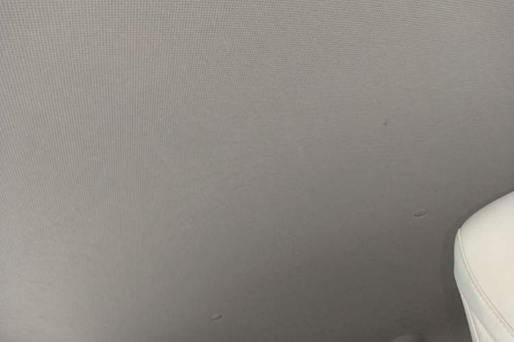 Used Wuling Hongguang MINIEV 2022 Macaron-Color Edition Lithium Iron Phosphate Headliner