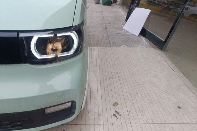 Used Wuling Hongguang MINIEV 2022 Macaron Premium Model – Lithium Iron Phosphate Left Front Headlight