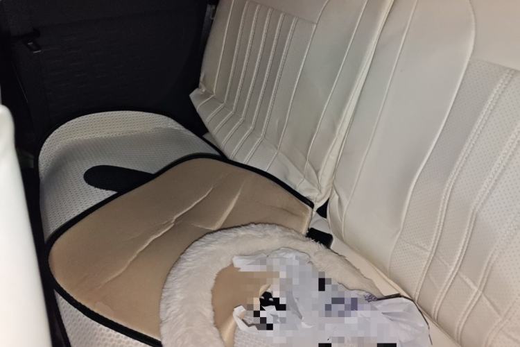 Used Wuling Hongguang MINIEV 2022 Macaron Fashion Model Lithium Iron Phosphate Left Rear Seat