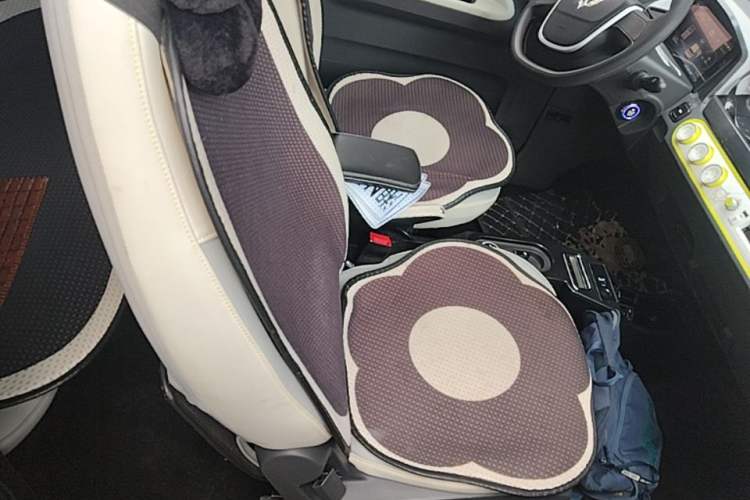 Used Wuling Hongguang MINIEV 2022 Macaron-Color Edition Lithium Iron Phosphate Right Front Seat