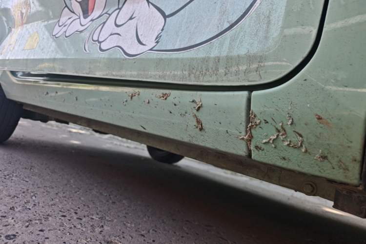 Used Wuling Hongguang MINIEV 2022 Macaron Fashion Model Lithium Iron Phosphate Right Side Sill