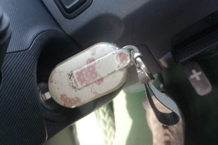Used Wuling Hongguang MINIEV 2022 Macaron Premium Model – Lithium Iron Phosphate Vehicle Key