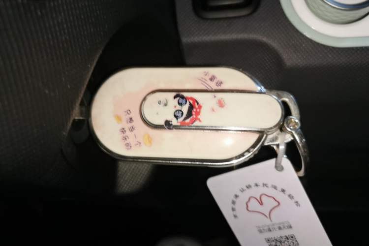 Used Wuling Hongguang MINIEV 2022 Macaron Fashion Model Lithium Iron Phosphate Vehicle Key