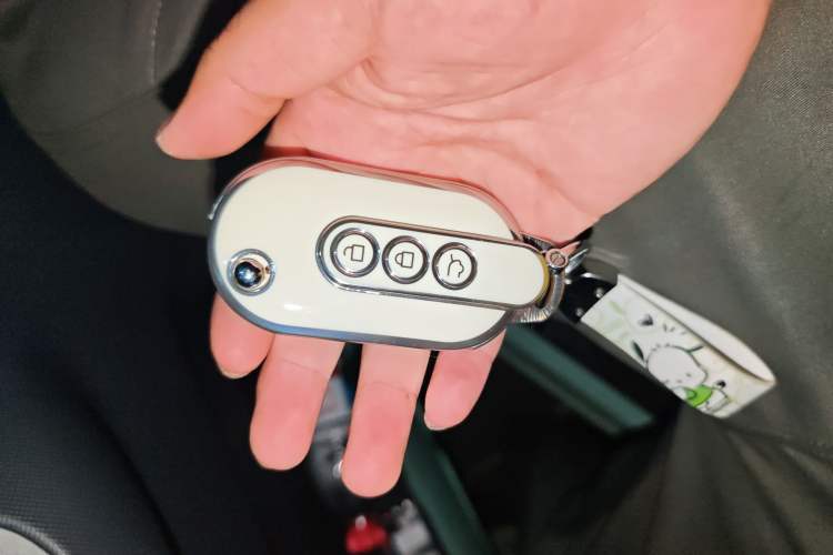 Used Wuling Hongguang MINIEV 2022 Macaron Fashion Model Lithium Iron Phosphate Vehicle Key