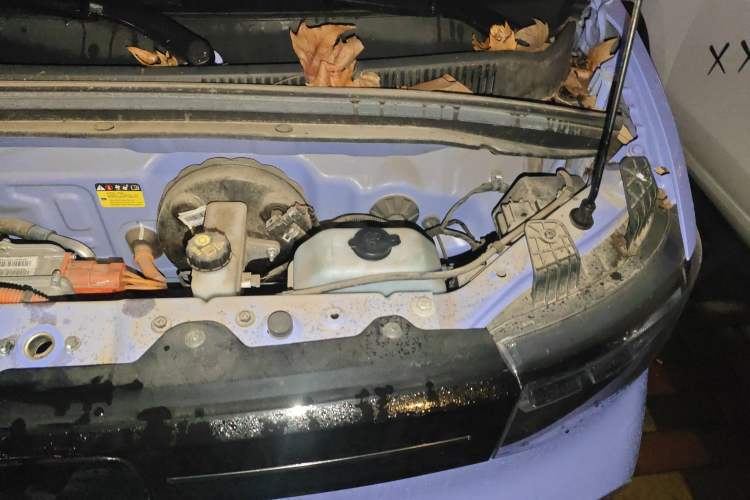 Used Wuling Hongguang MINIEV 2022 Macaron Colorful Edition Lithium Iron Phosphate Engine Bay Left