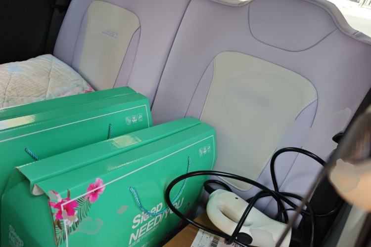 Used Wuling Hongguang MINIEV 2022 Macaron-Color Edition Lithium Iron Phosphate Left Rear Seat
