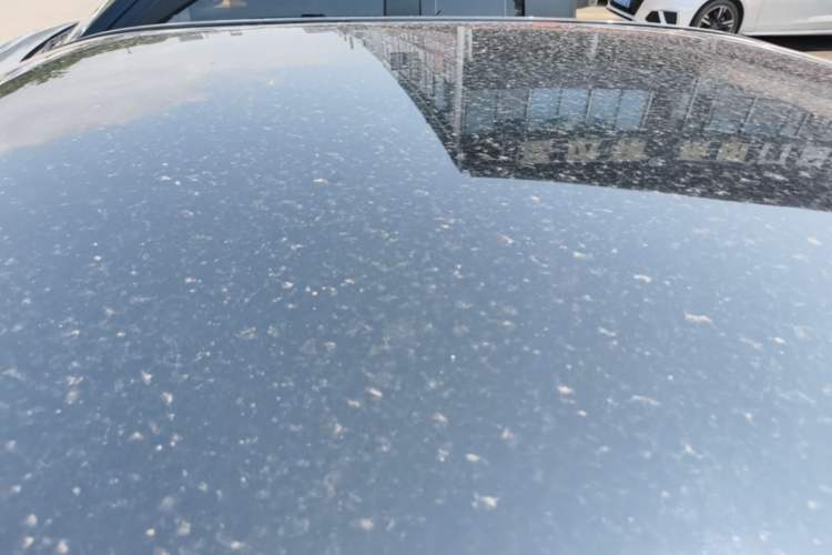 Used Wuling Hongguang MINIEV 2022 Macaron-Color Edition Lithium Iron Phosphate Roof
