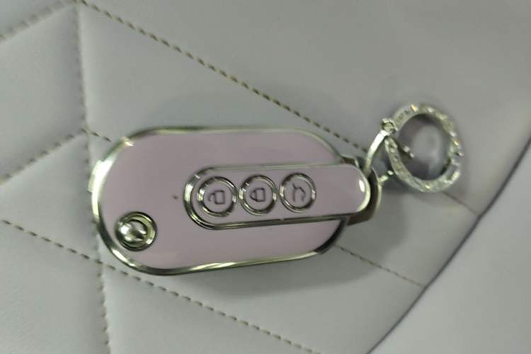 Used Wuling Hongguang MINIEV 2022 Macaron Colorful Edition Lithium-Ion Battery Vehicle Key