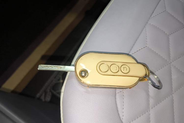 Used Wuling Hongguang MINIEV 2022 Macaron-Color Edition Lithium Iron Phosphate Vehicle Key