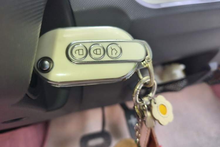 Used Wuling Hongguang MINIEV 2022 Macaron-Color Edition Lithium Iron Phosphate Vehicle Key