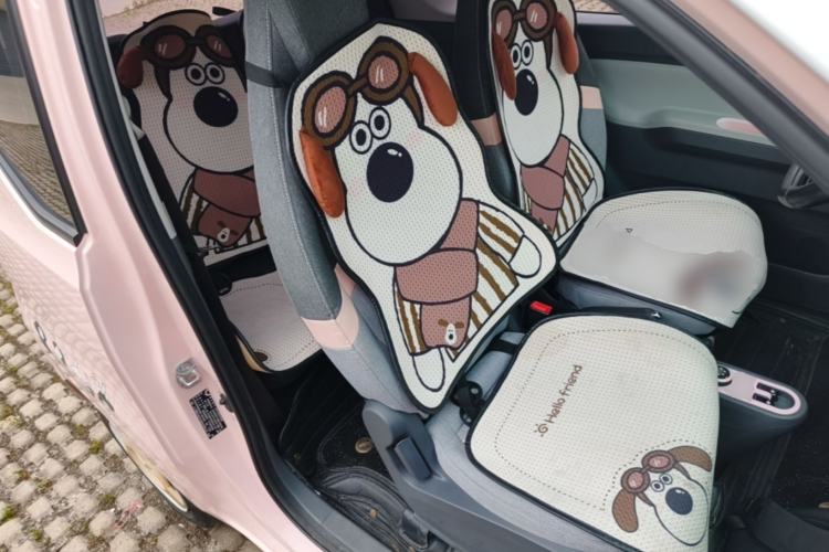 Used Wuling Hongguang MINIEV 2022 Macaron Fashion Model Lithium Iron Phosphate Right Front Seat