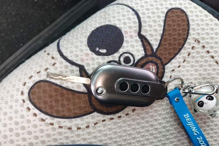 Used Wuling Hongguang MINIEV 2022 Macaron Fashion Model Lithium Iron Phosphate Vehicle Key