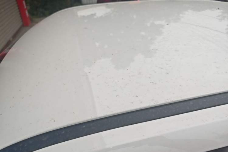 Used Wuling Hongguang MINIEV 2022 Macaron Premium Model – Lithium Iron Phosphate Roof